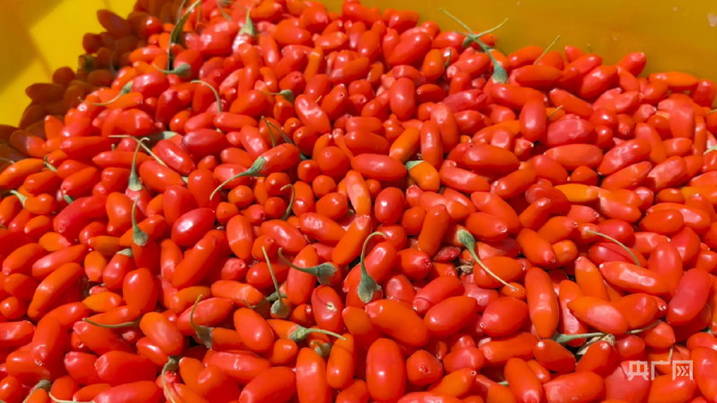 【白銀的進化與生長⑤】城市進化底層重構 經濟起舞待有時(圖5)