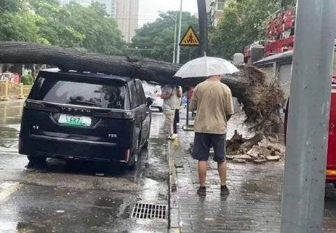 中國新能源車給的安全感！造車國家隊硬實力高品質值得信賴(圖8)