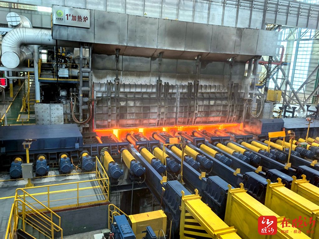 2024年臨沂市推動高質量發展現場交流會見聞之二(圖2)