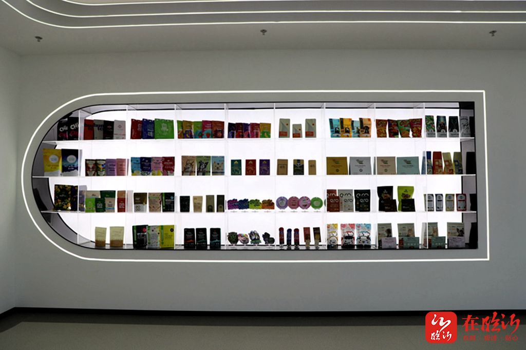 2024年臨沂市推動高質量發展現場交流會見聞之二(圖4)