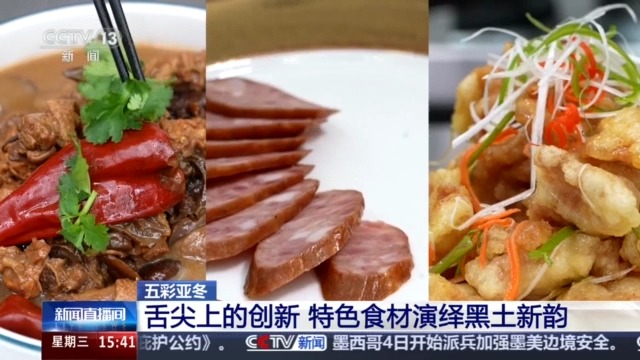 黑土地、黑科技、黑色資源 一起了解亞冬會里的黑色密碼(圖3)