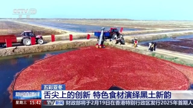 黑土地、黑科技、黑色資源 一起了解亞冬會里的黑色密碼(圖4)
