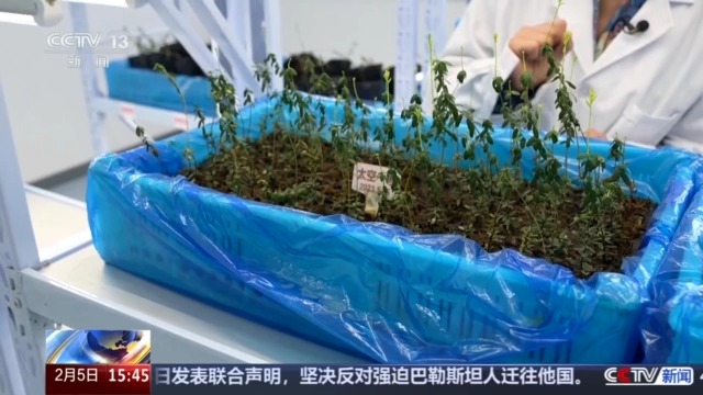 黑土地、黑科技、黑色資源 一起了解亞冬會里的黑色密碼(圖7)