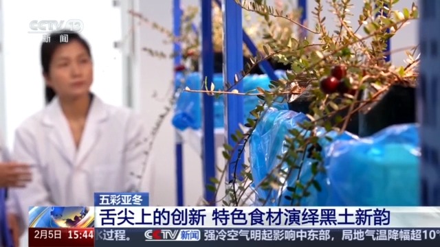黑土地、黑科技、黑色資源 一起了解亞冬會里的黑色密碼(圖6)