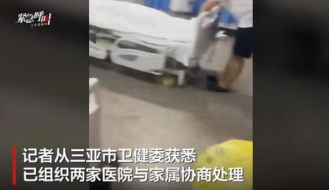 27歲女游客被蛇咬身亡！身材一絕是家中獨生女膚白貌美太可惜(圖15)