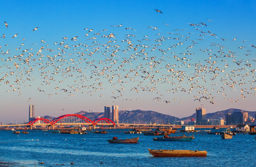 九游官網入口：建設綠色低碳高質量發展先行區煙臺如何當好“示范生”？(圖6)