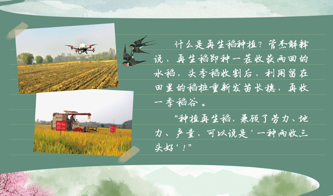 春耕時節 我們在行動_光明網(圖2)