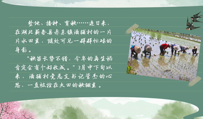 春耕時節 我們在行動_光明網