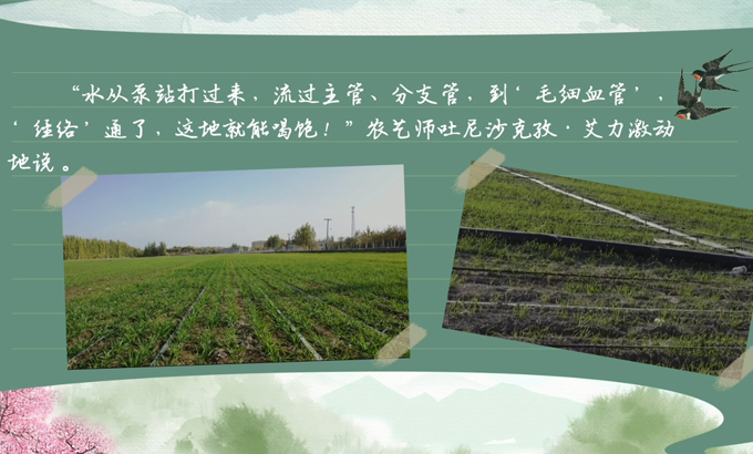 春耕時節 我們在行動_光明網(圖7)