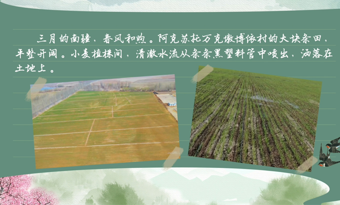 春耕時節 我們在行動_光明網(圖6)