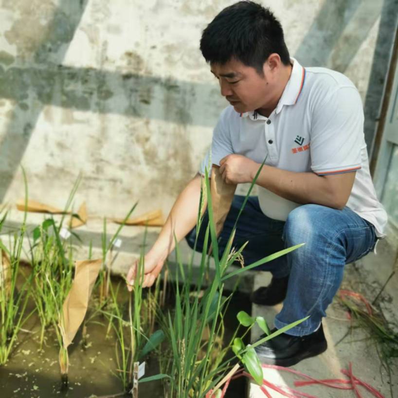 春耕時節 我們在行動_光明網(圖23)