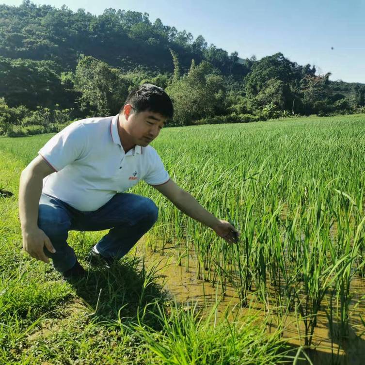 春耕時節 我們在行動_光明網(圖21)