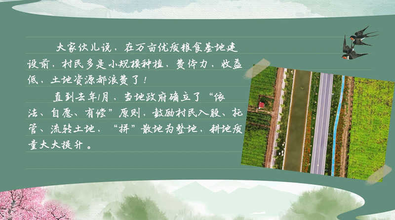 春耕時節 我們在行動_光明網(圖31)