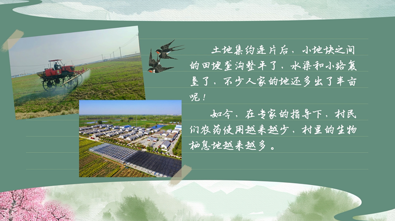 春耕時節 我們在行動_光明網(圖32)