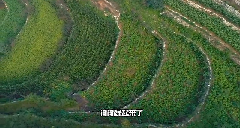 春耕時節 我們在行動_光明網(圖37)