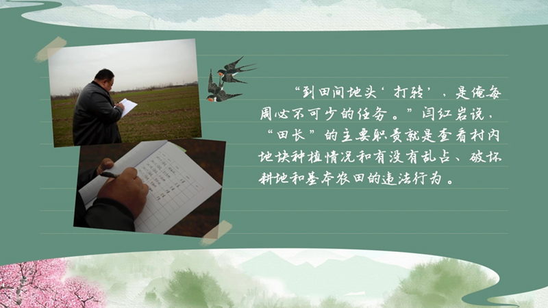 春耕時節 我們在行動_光明網(圖44)