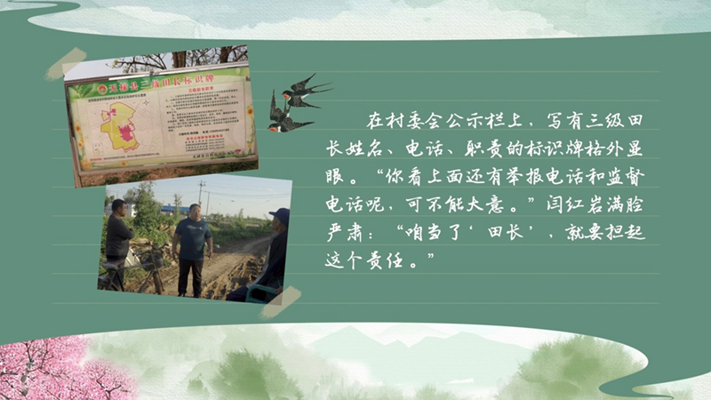 春耕時節 我們在行動_光明網(圖45)