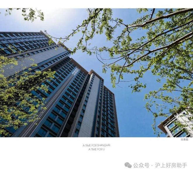 九游官網入口：官方聚焦縵云上海售樓處官方發布：上海縵云理想置業優選(圖31)